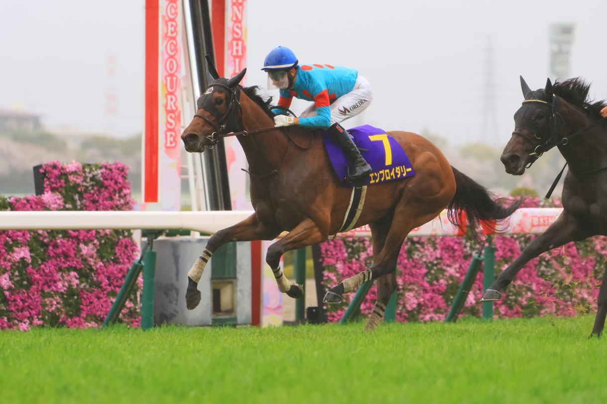 �G���u���C�_���[