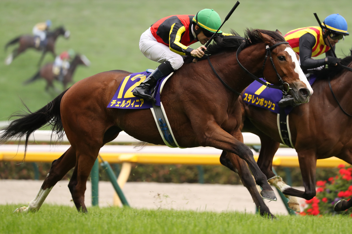 �ߋ��̌X��