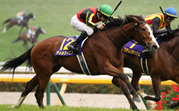 �ߋ��̌X��