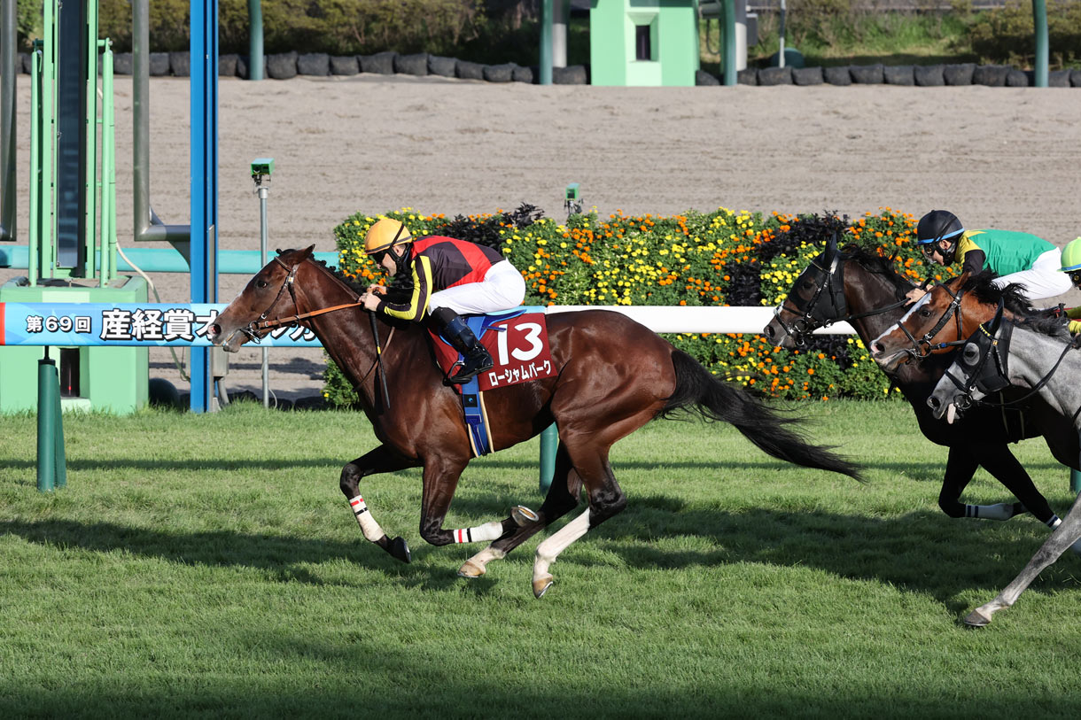 ローシャムパーク