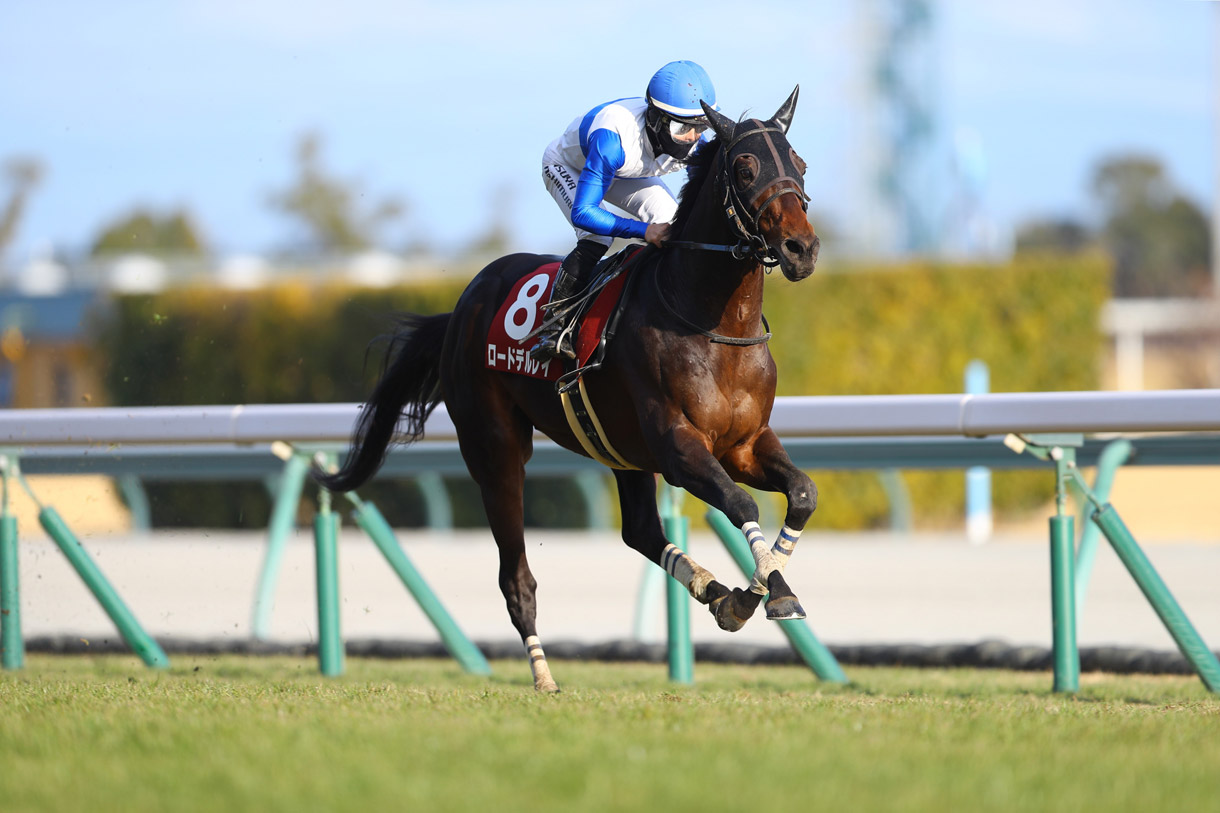 ���[�h�f�����C