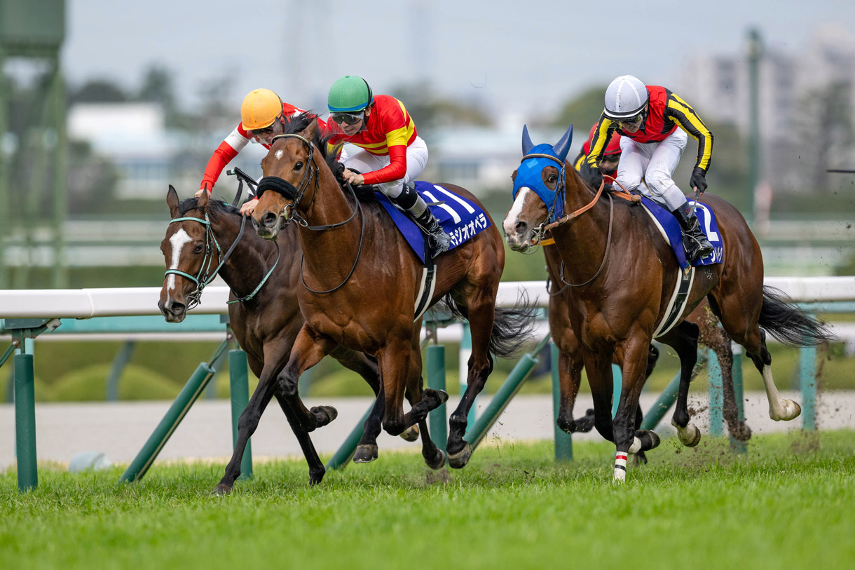 �ߋ��̌X��