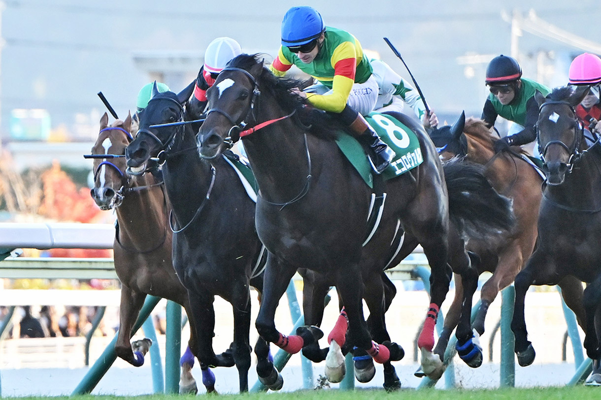 �G�R�����@���c