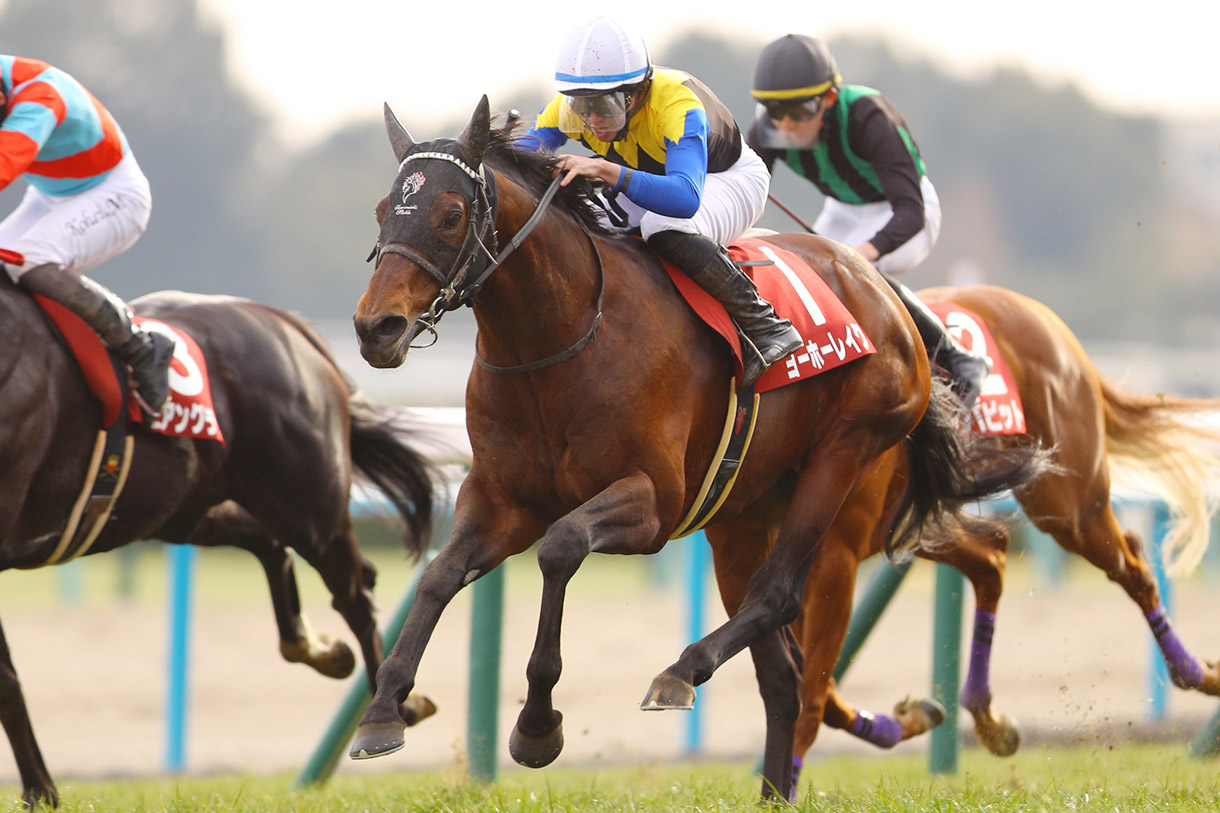 ���[�z�[���C�N