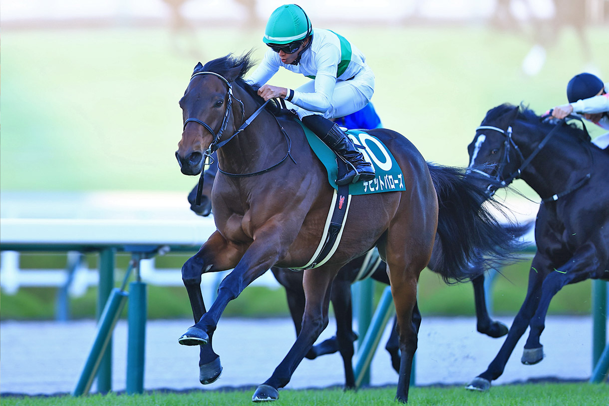 �f�r�b�g�o���[�Y