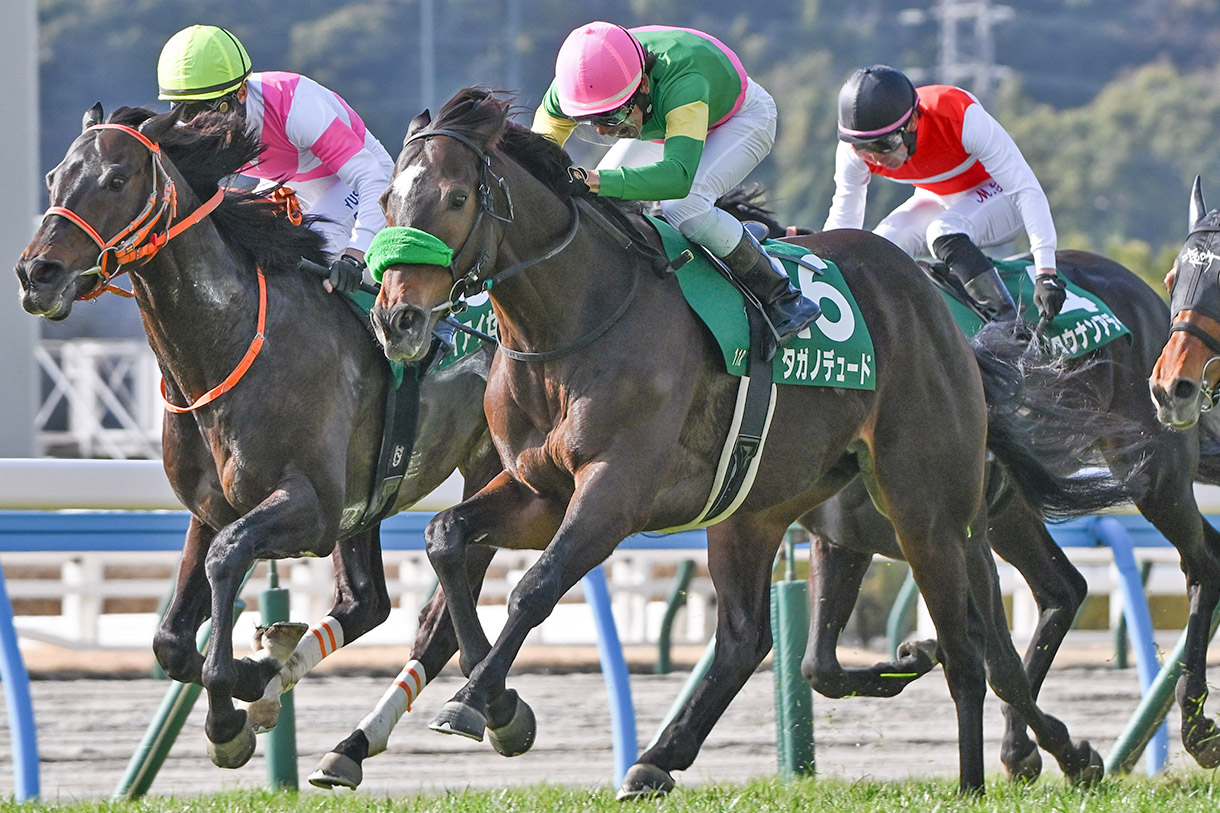 �^�K�m�f���[�h