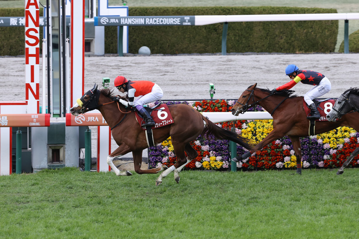 スウィープフィート