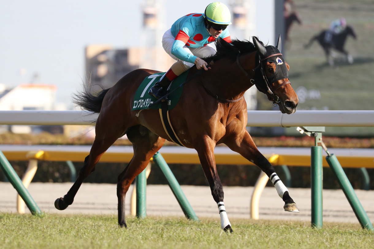 �G���u���C�_���[