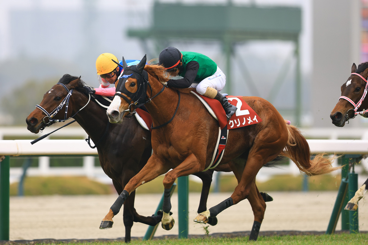 �N���m���C