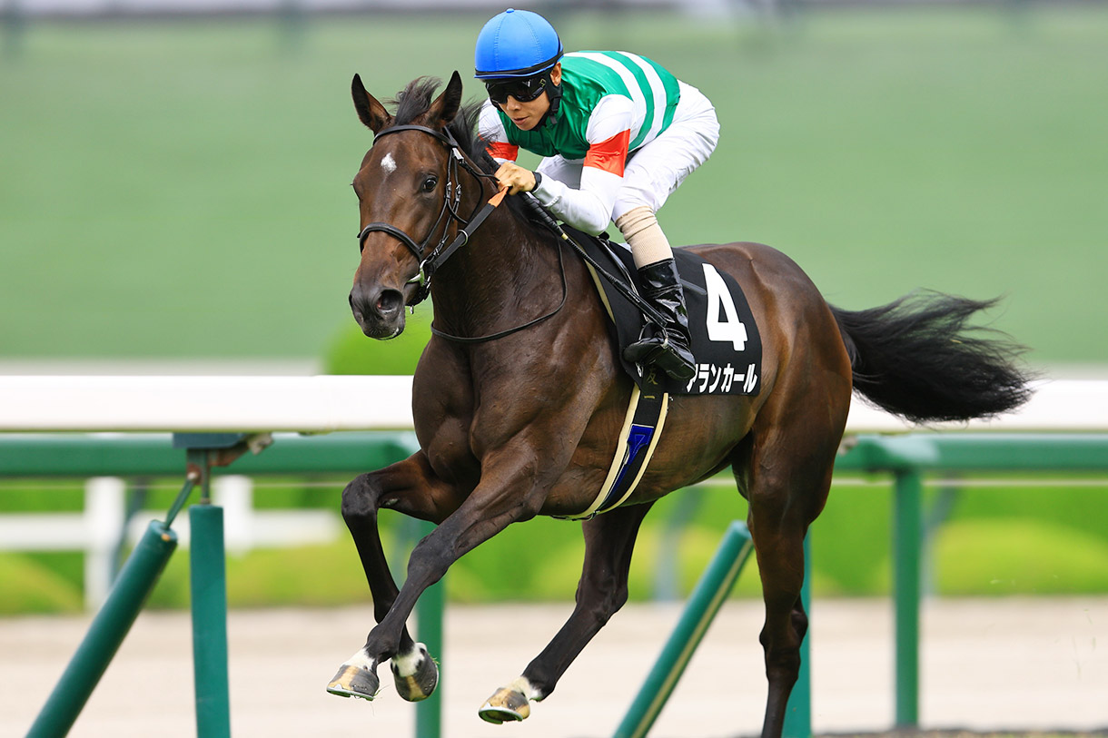 �A�����J�[��