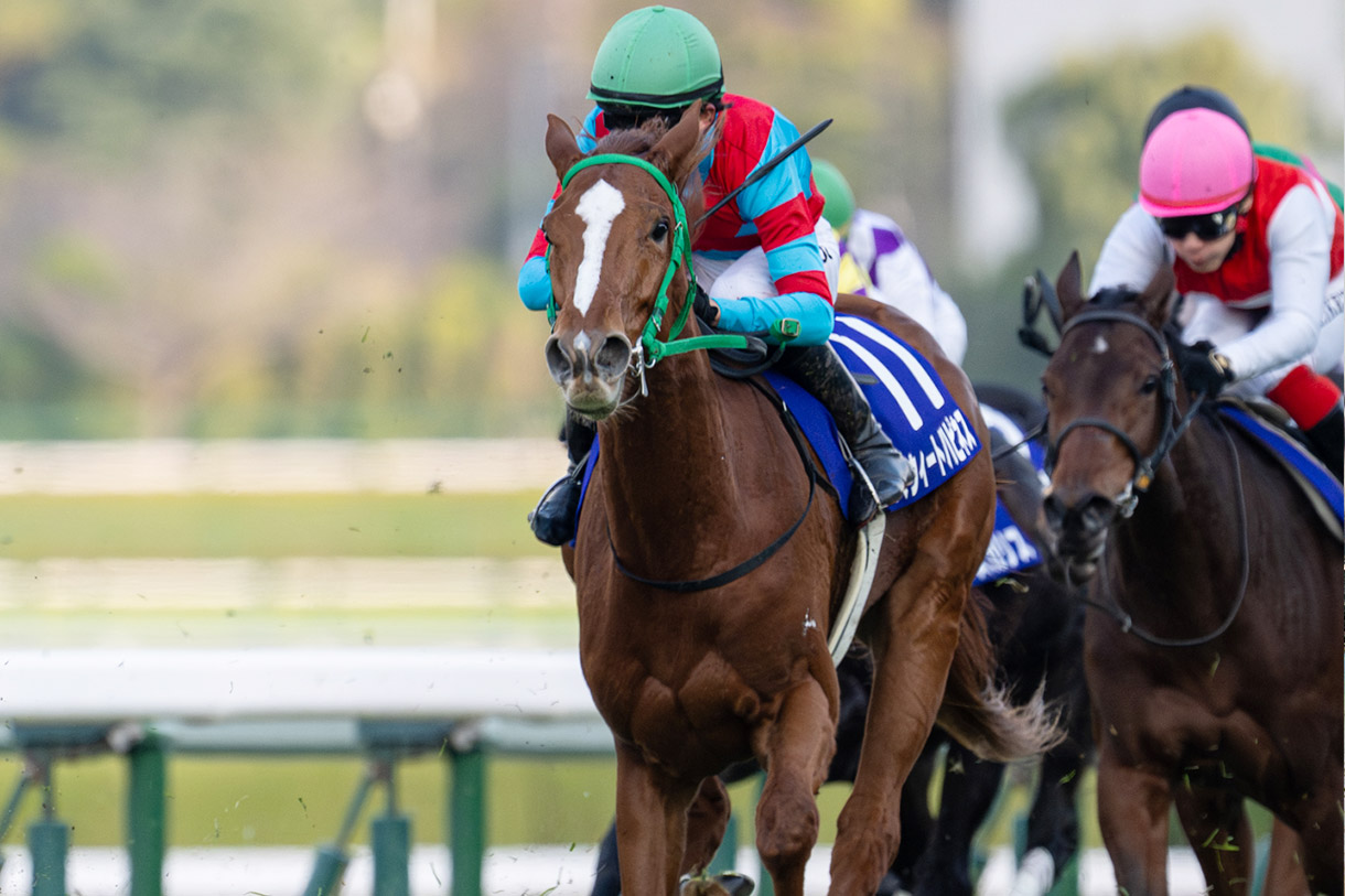 �X�E�B�[�g�n�s�l�X