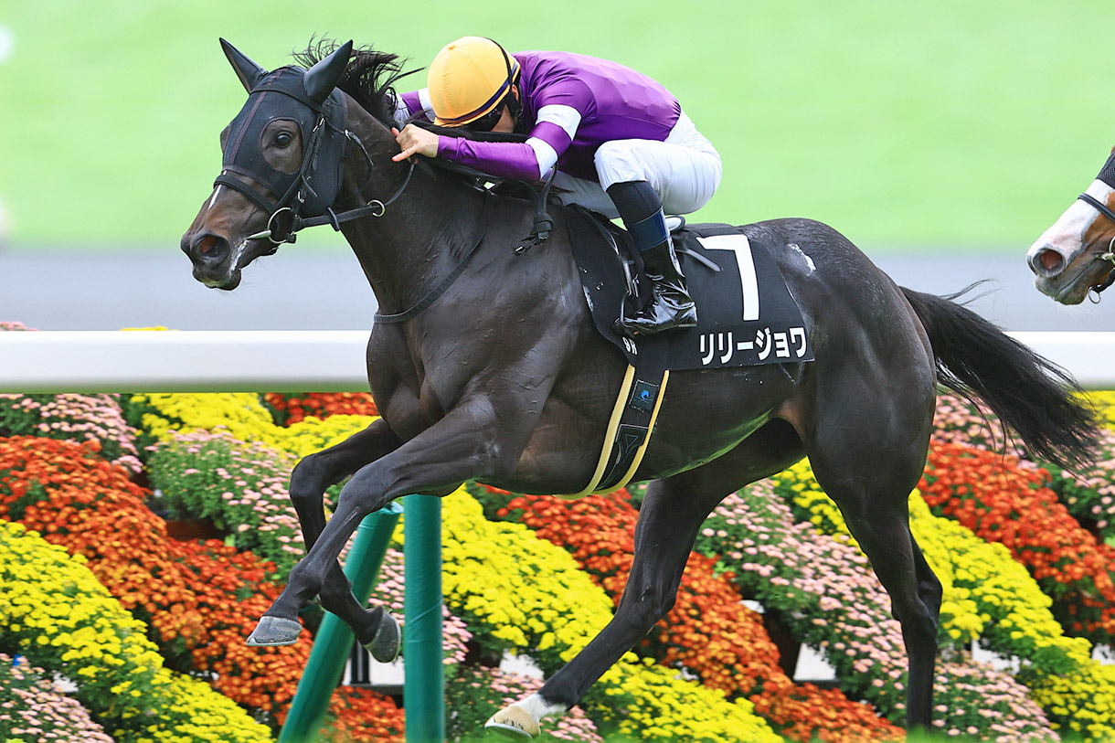 �����[�W����