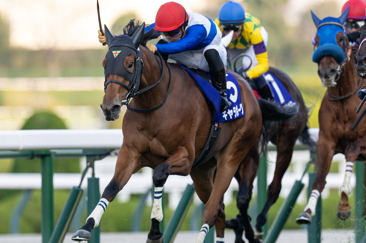 �M�����{�[�O