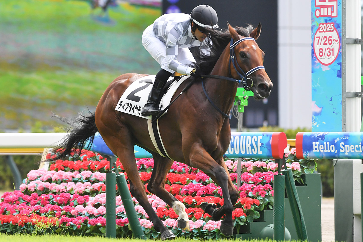 �f�B�A�_�C�������h