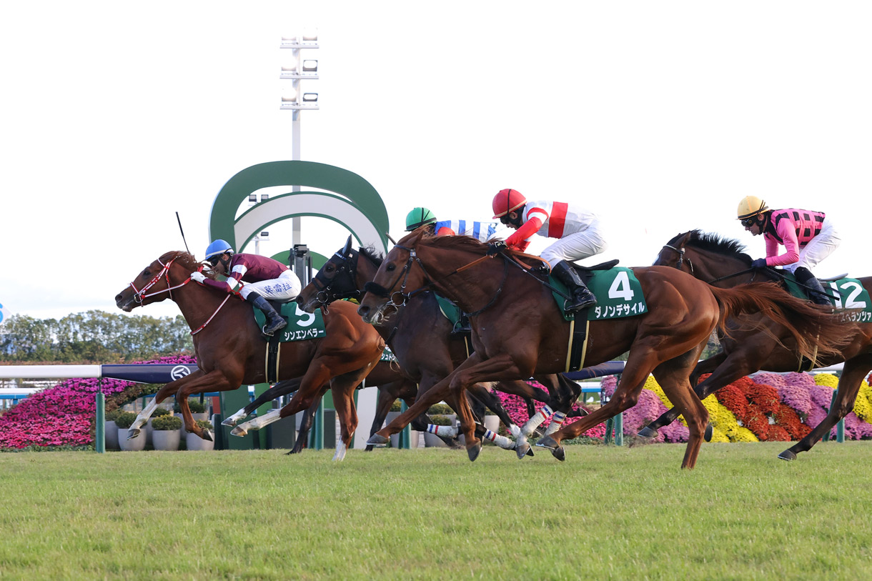 シンエンペラー