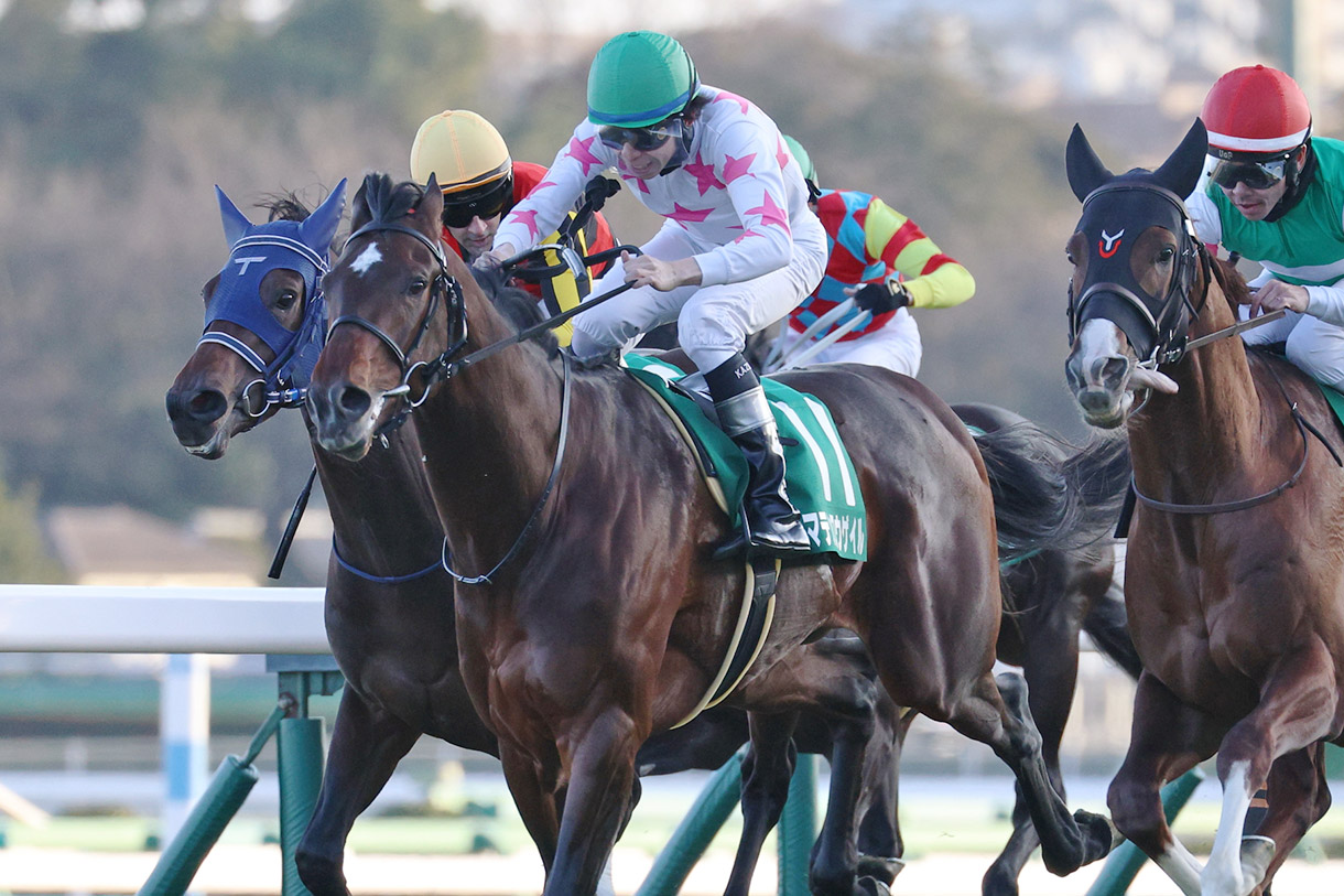 �}�e�����E�Q�C��