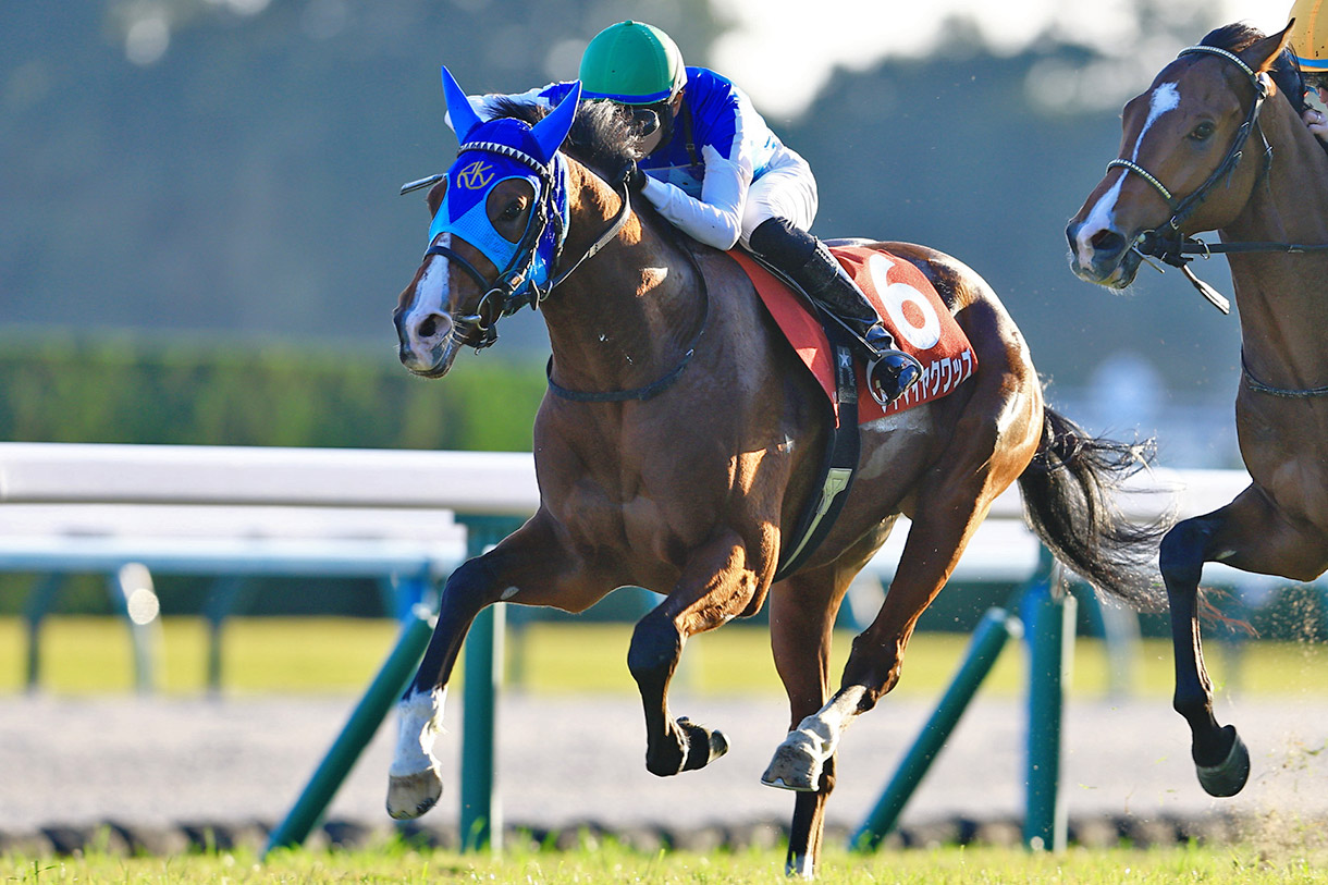 �A�h�}�C���N���b�Y