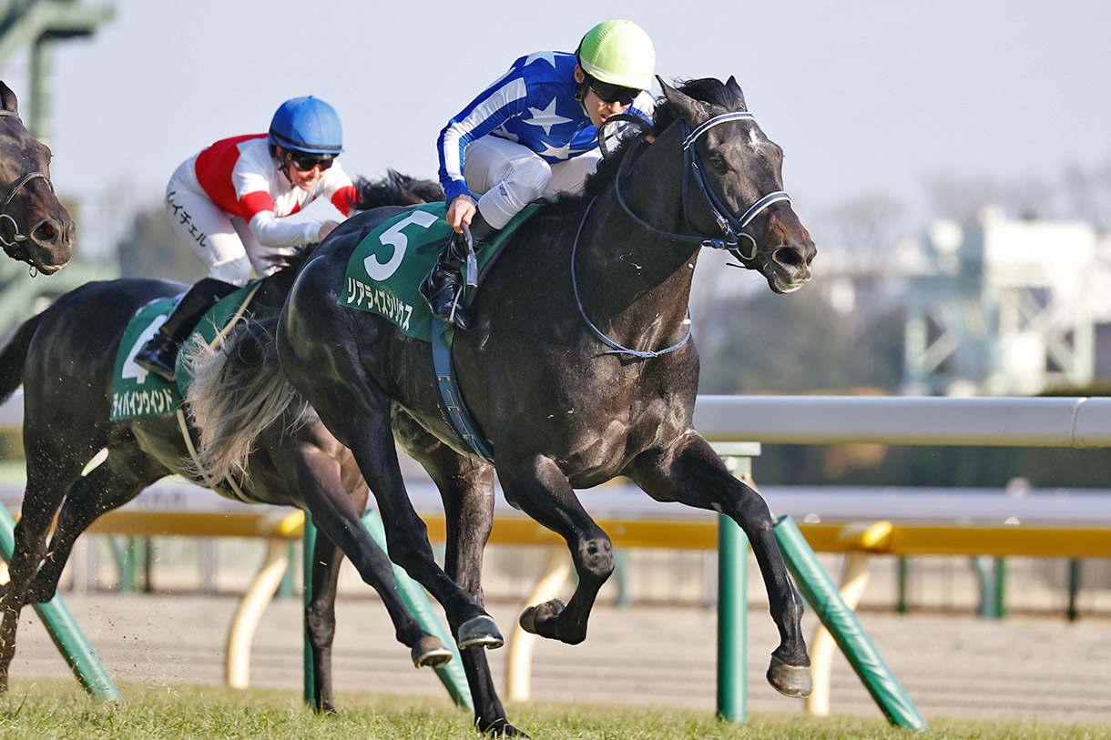 ���A���C�Y�V���E�X