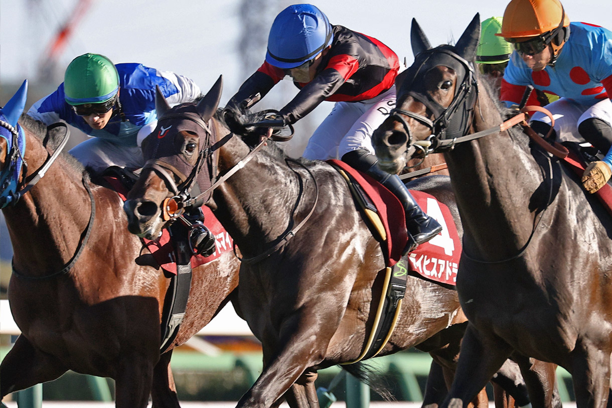 ���C�q�X�A�h���[