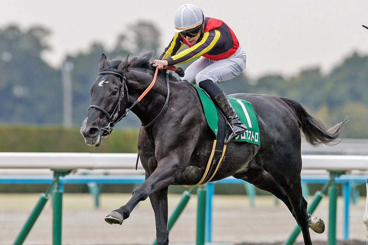 �]���A�X�g��