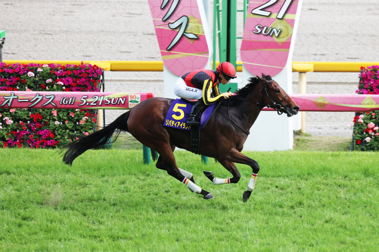 メイケイエール