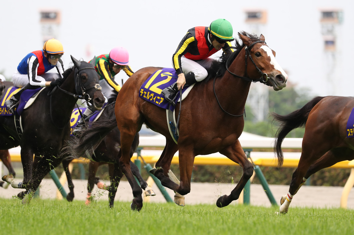 チェルヴィニア