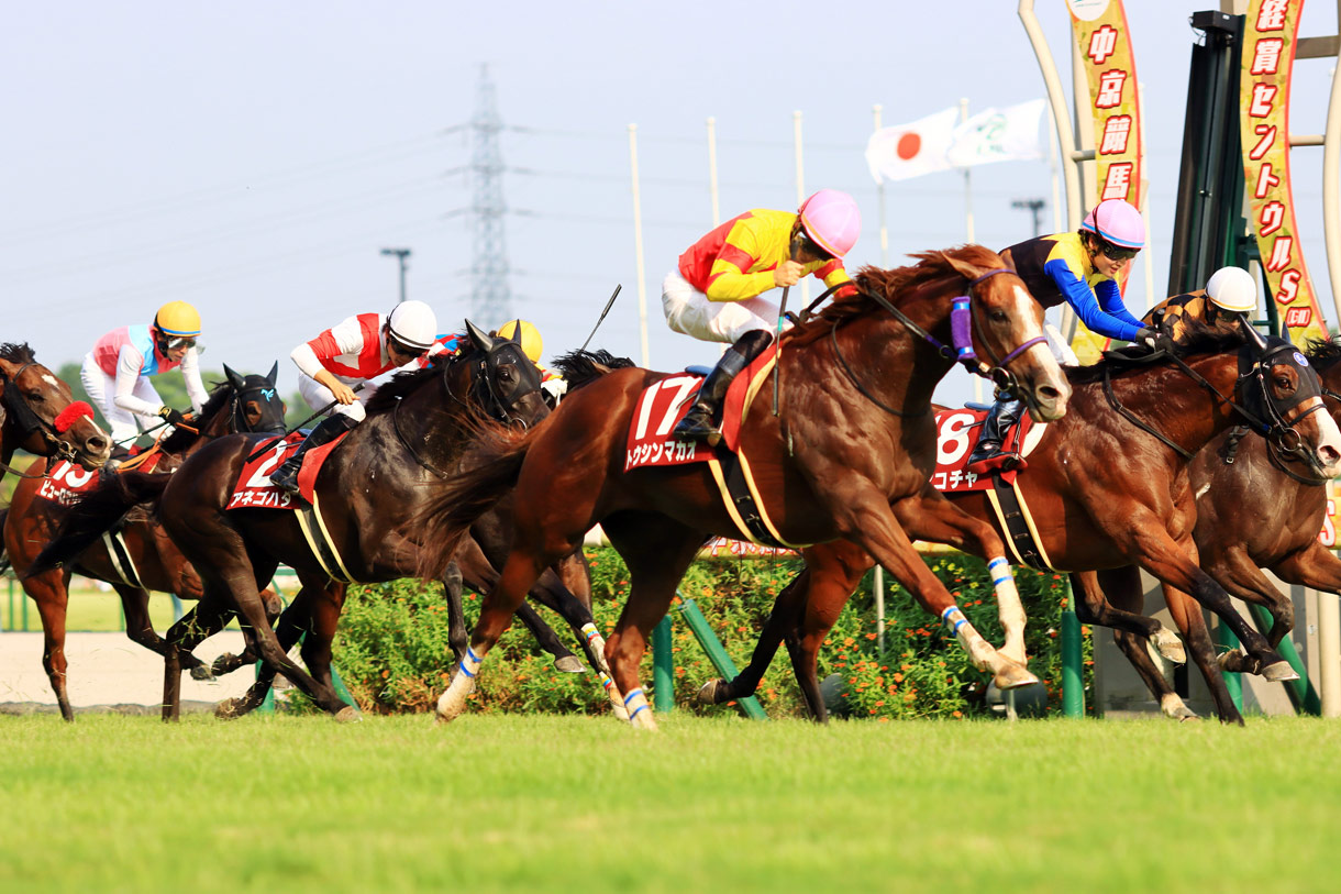 トウシンマカオ