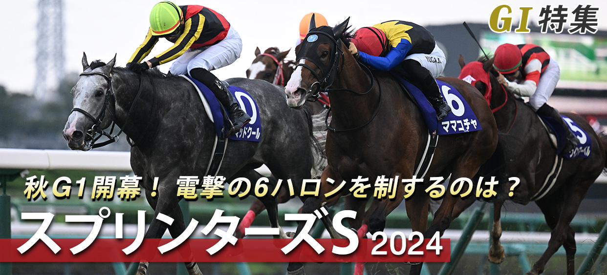 G1特集 スプリンターズステークス2024