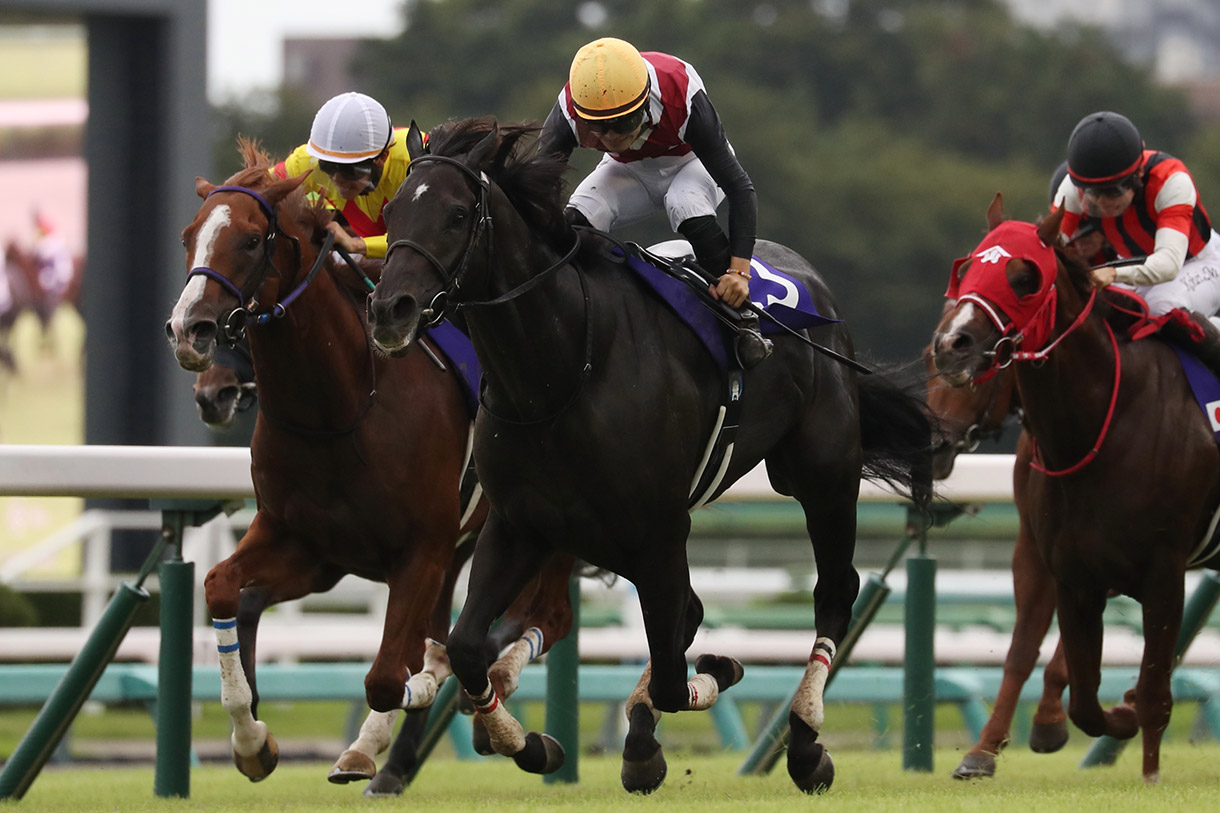 �g�E�V���}�J�I