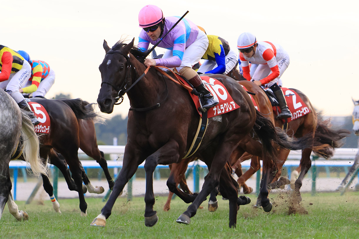 �i�����N���A