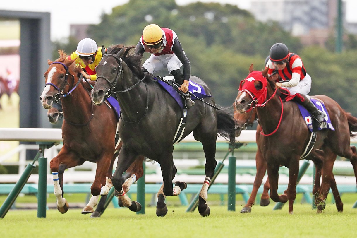 �ߋ��̌X��