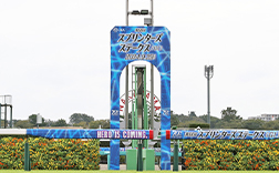 ���[�X���