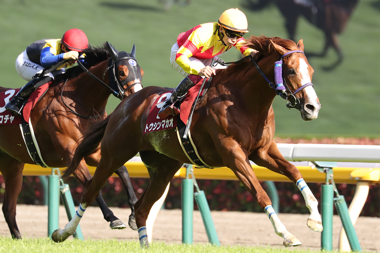 トウシンマカオ