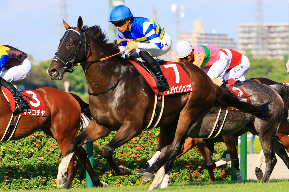 カンチェンジュンガ