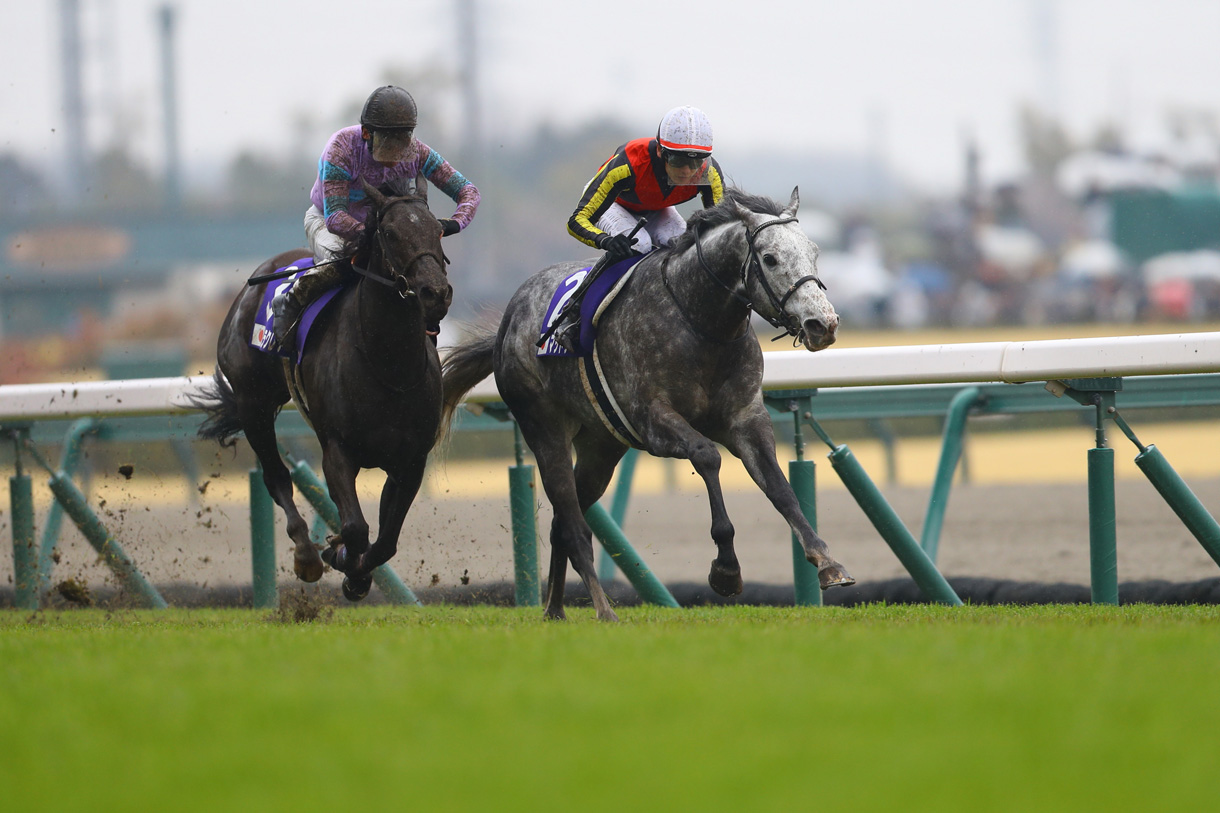 �}�b�h�N�[��