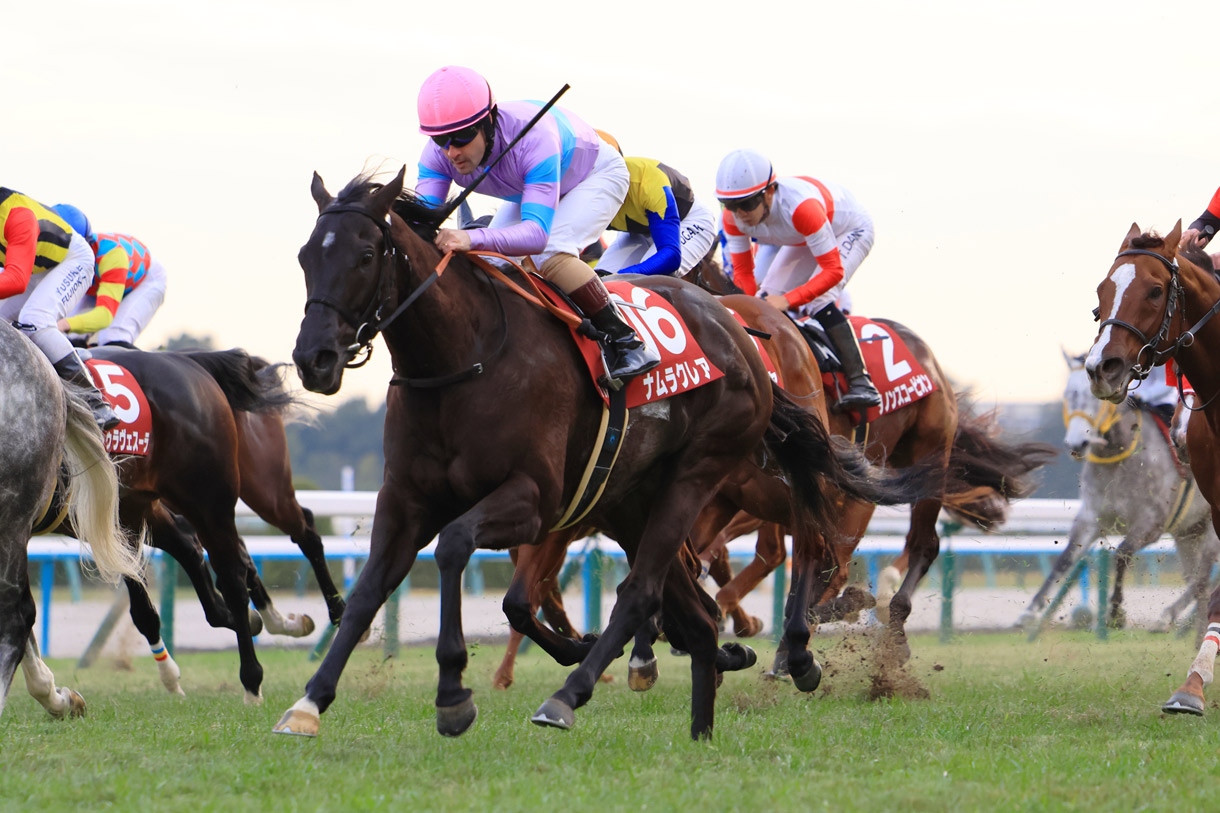 �i�����N���A