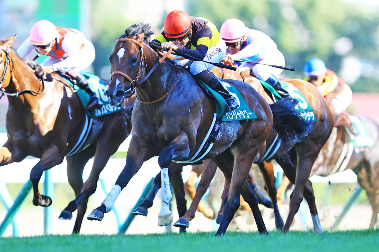 �p���W���^���[