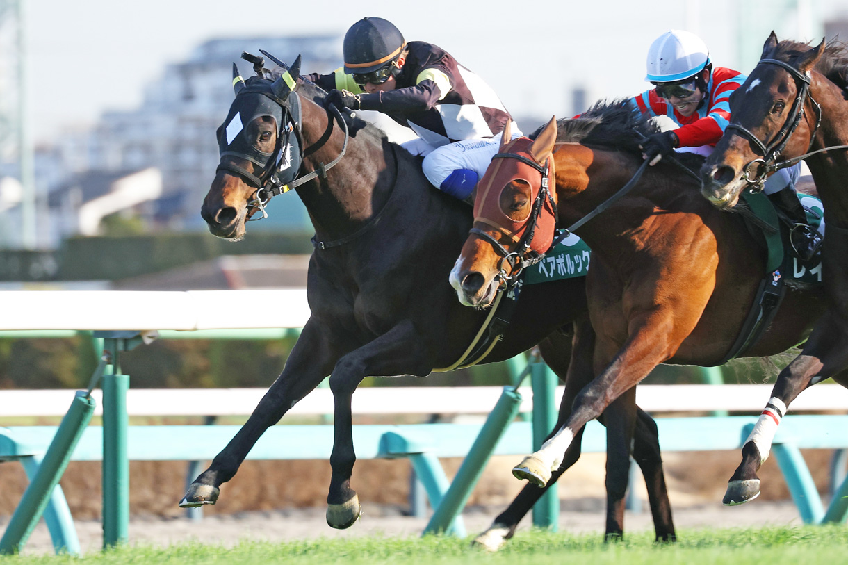 �y�A�|���b�N�X