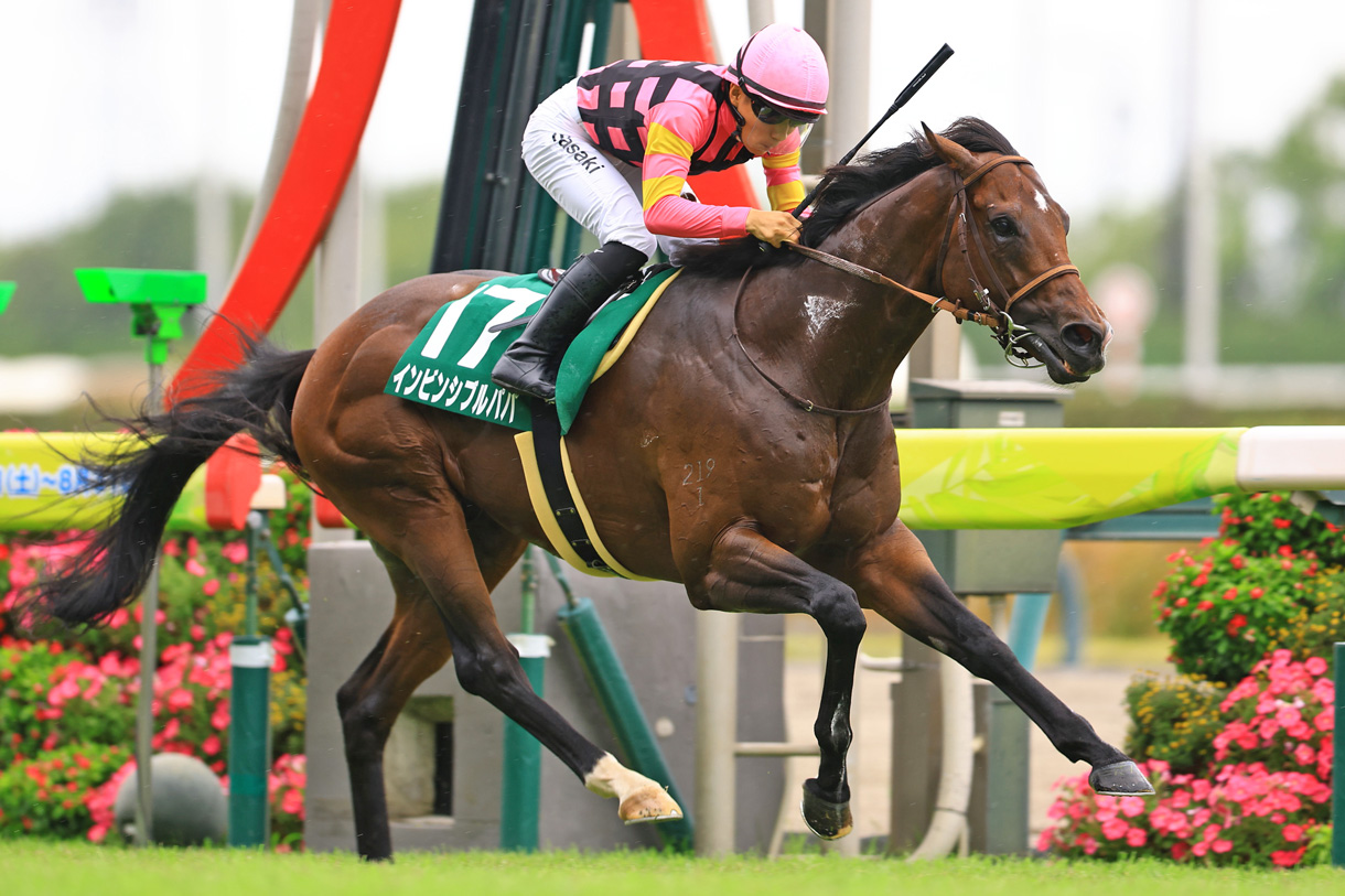 �C���r���V�u���p�p