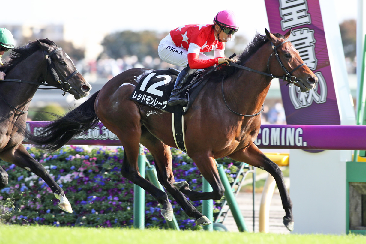 ���b�h�������[��