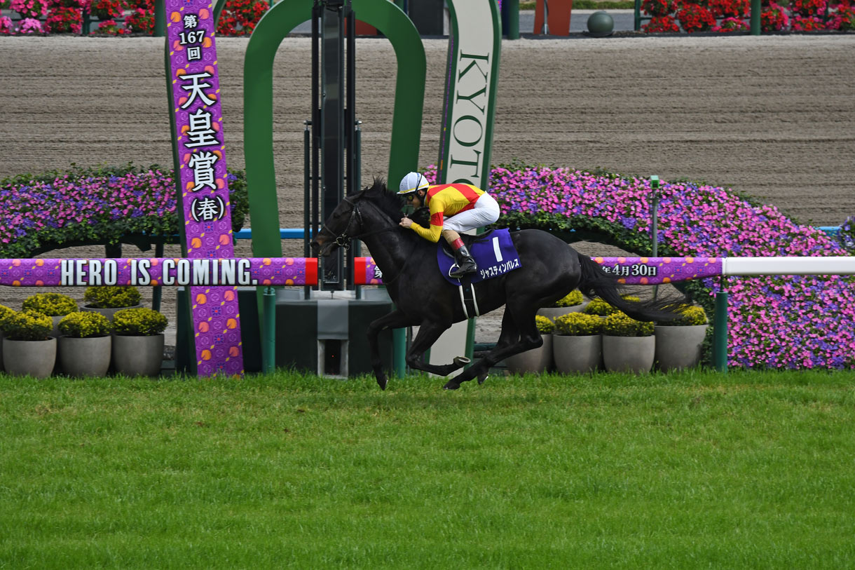 ジャスティンパレス