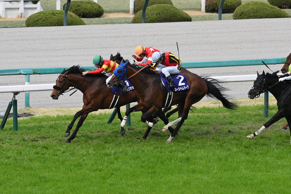 ベラジオオペラ