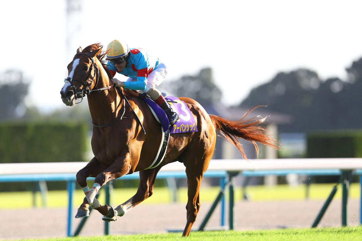 �A�[�o���V�b�N