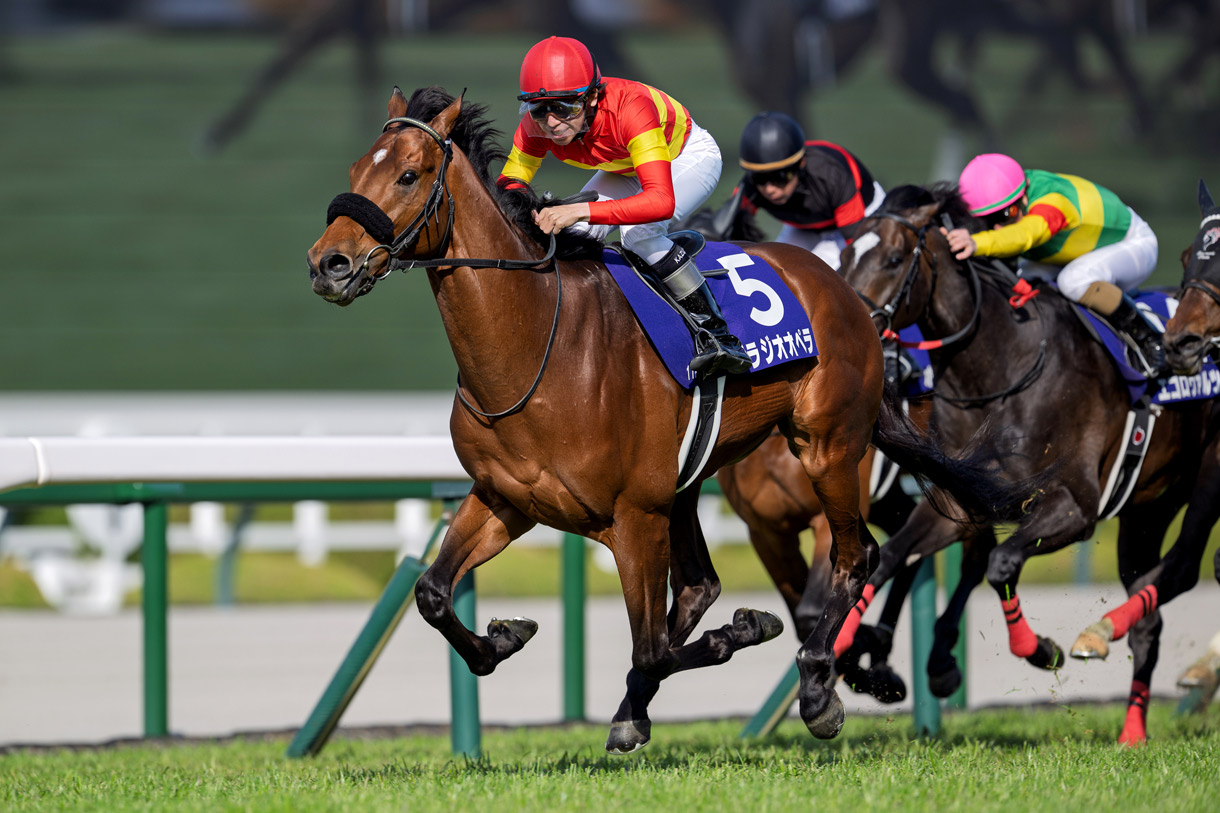 �x���W�I�I�y��