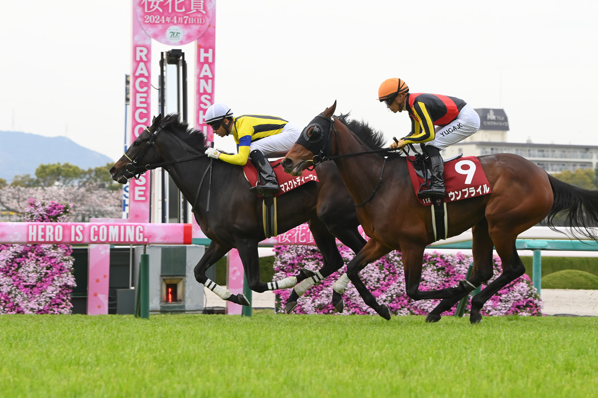 マスクトディーヴァ