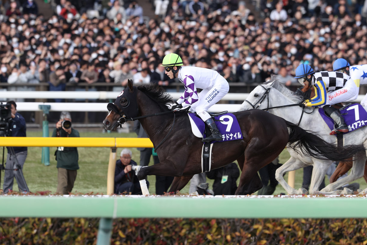 ガイアフォース