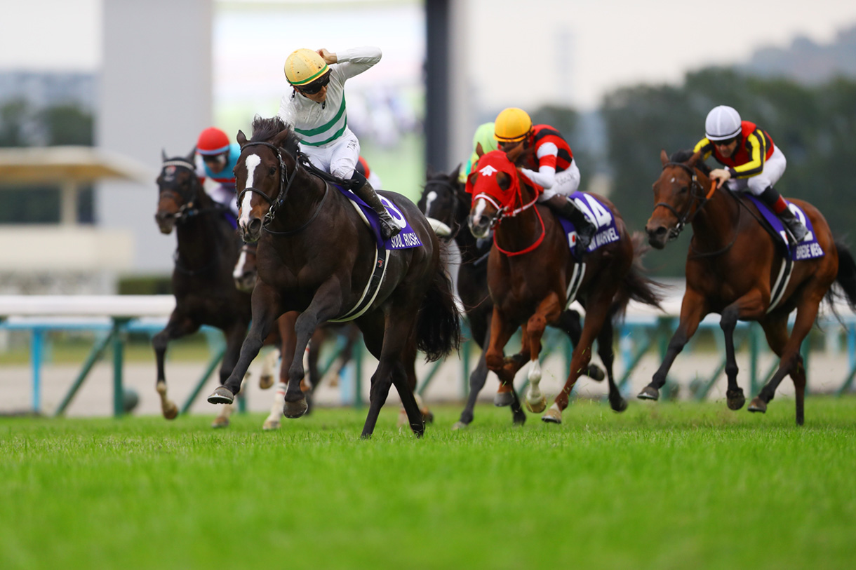 �\�E�����b�V��