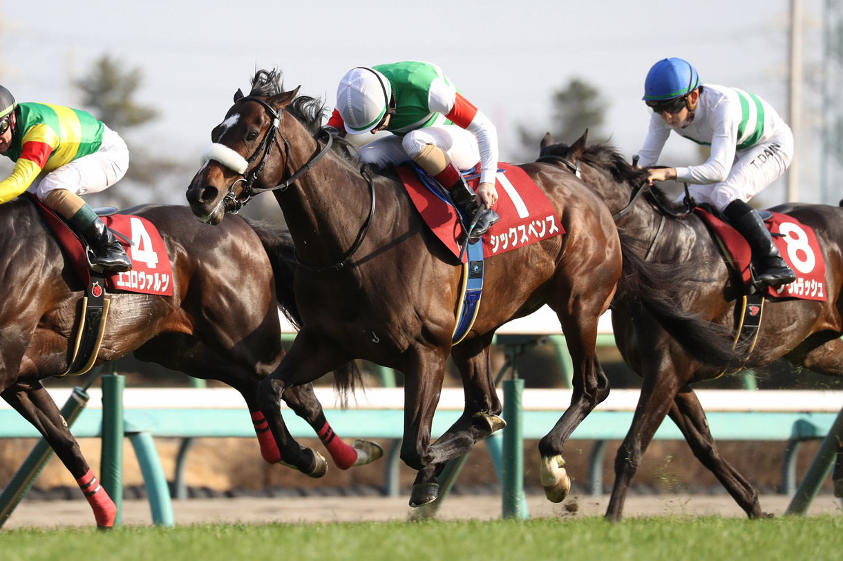 �V�b�N�X�y���X