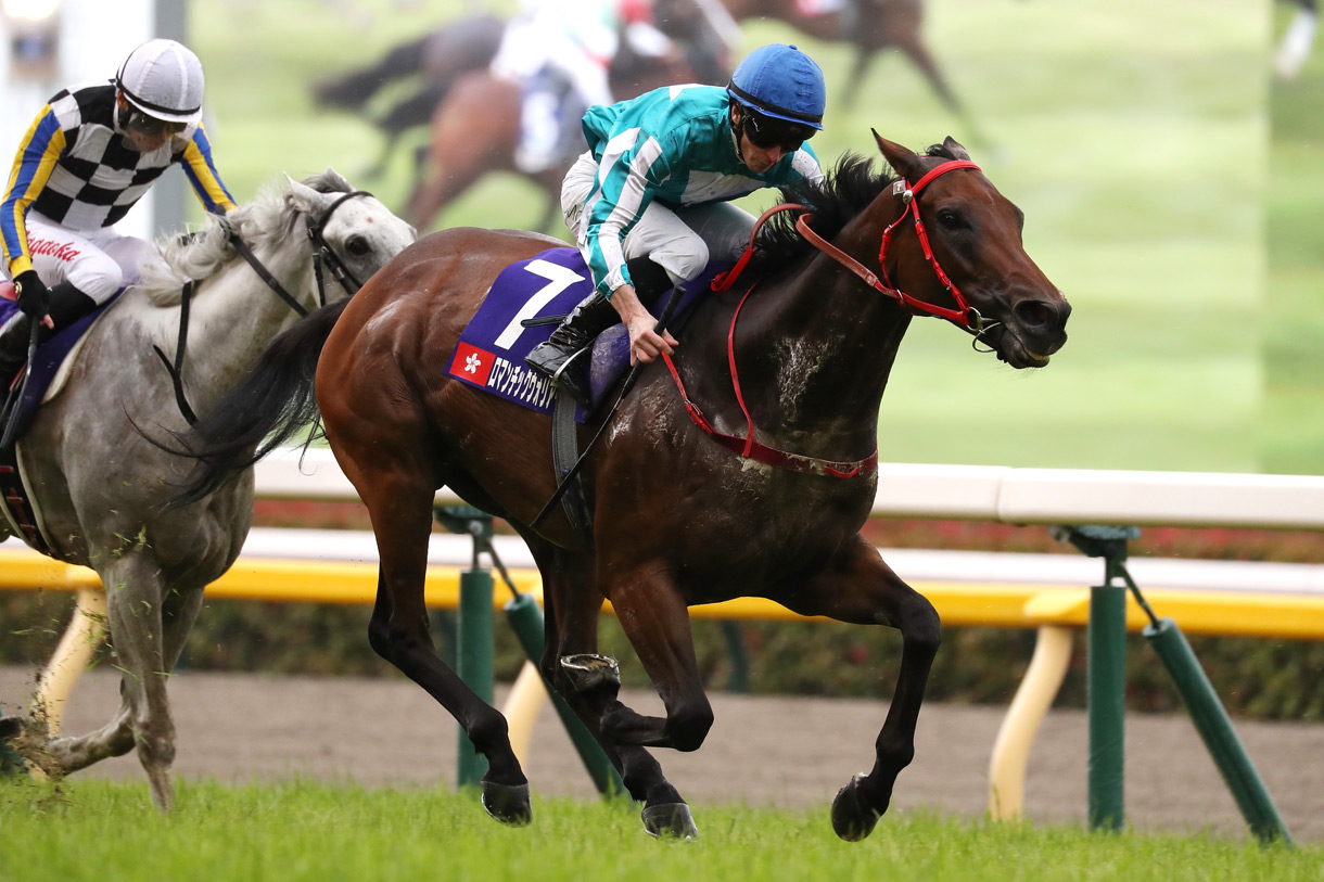 �ߋ��̌X��