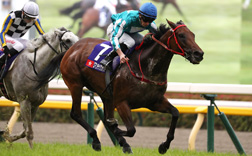 �ߋ��̌X��